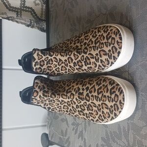 Steve Madden ladies animal print sneakers